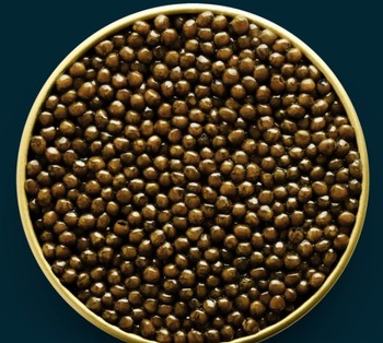 Kaluga Sturgeon Caviar